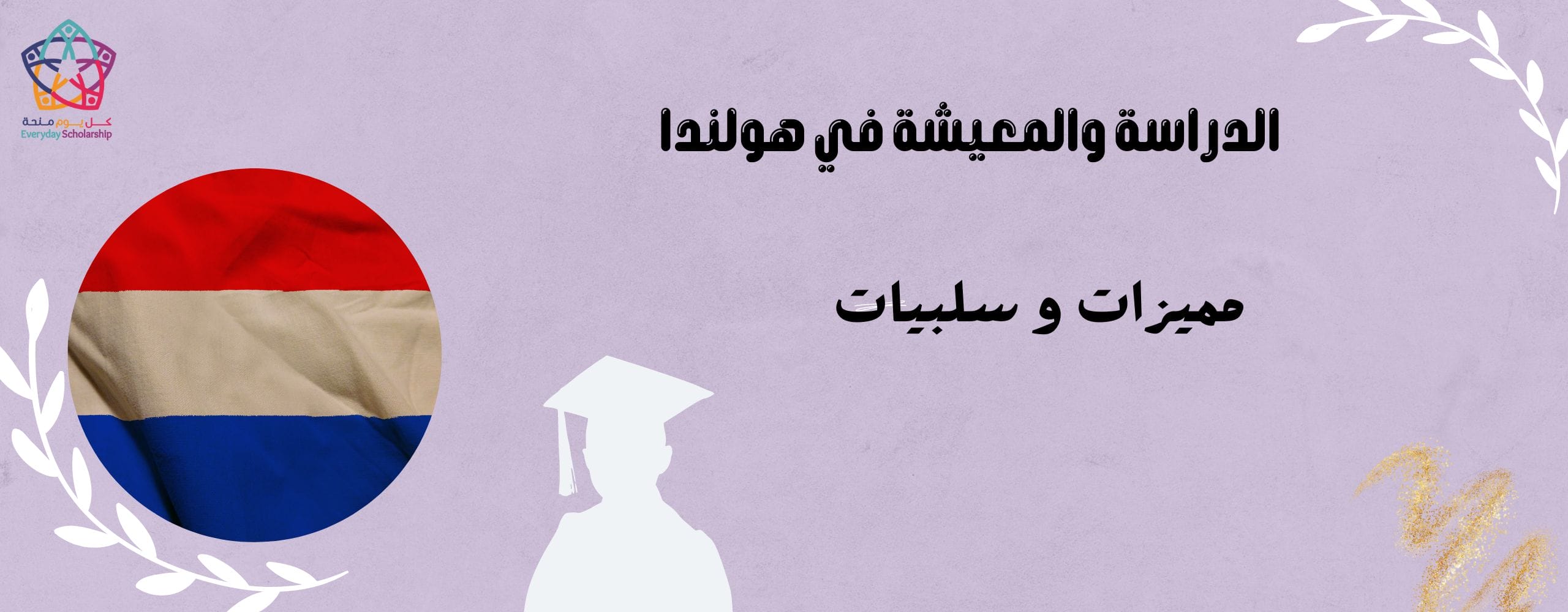الدراسة في هولندا
