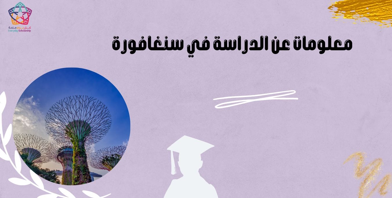 معلومات عن الدراسة في سنغافورة