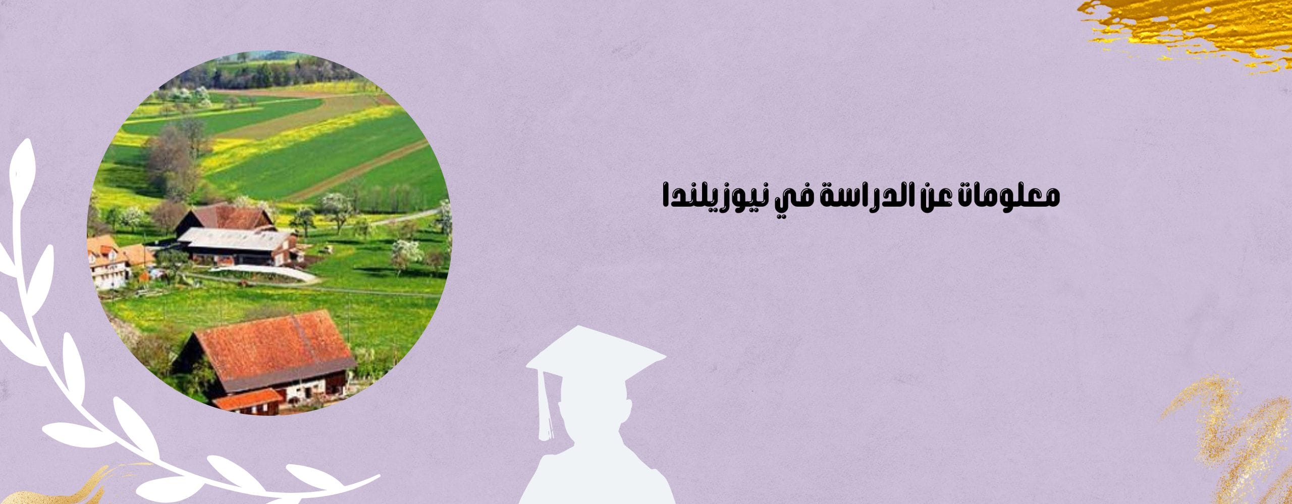 معلومات عن الدراسة في نيوزيلندا