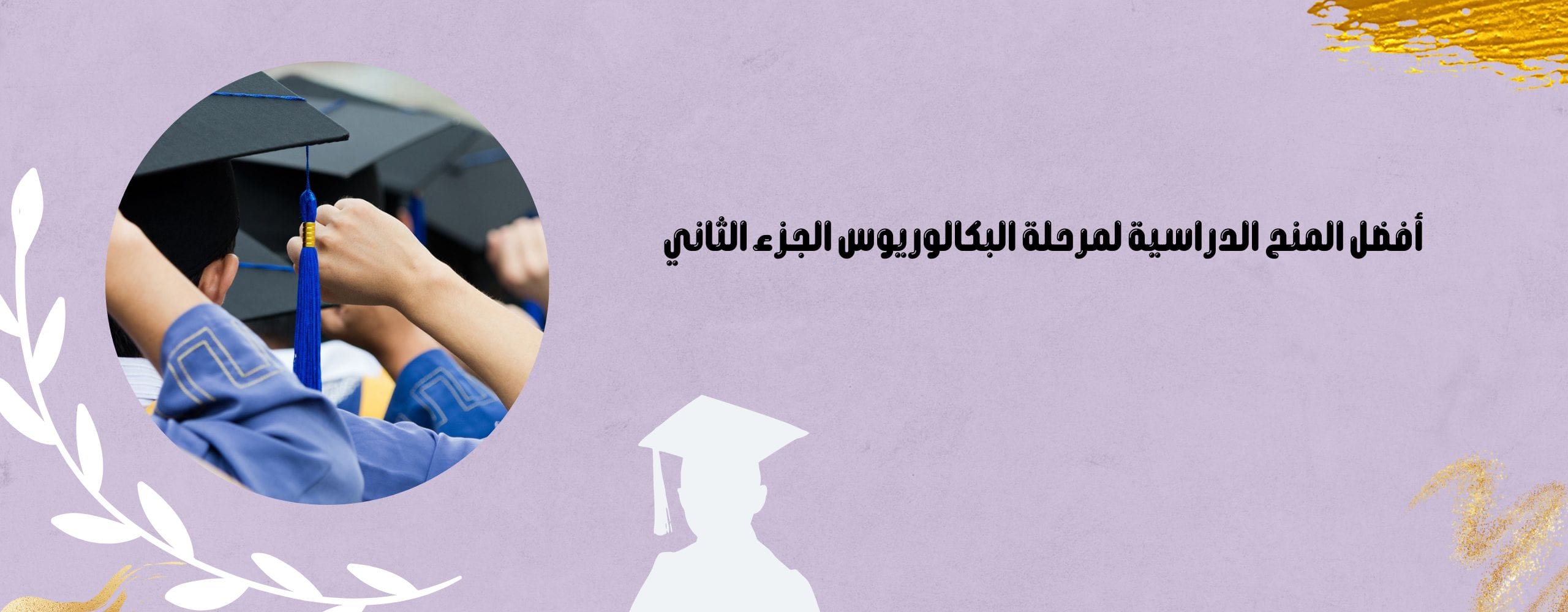 أفضل المنح الدراسية لمرحلة البكالوريوس الجزء الثاني