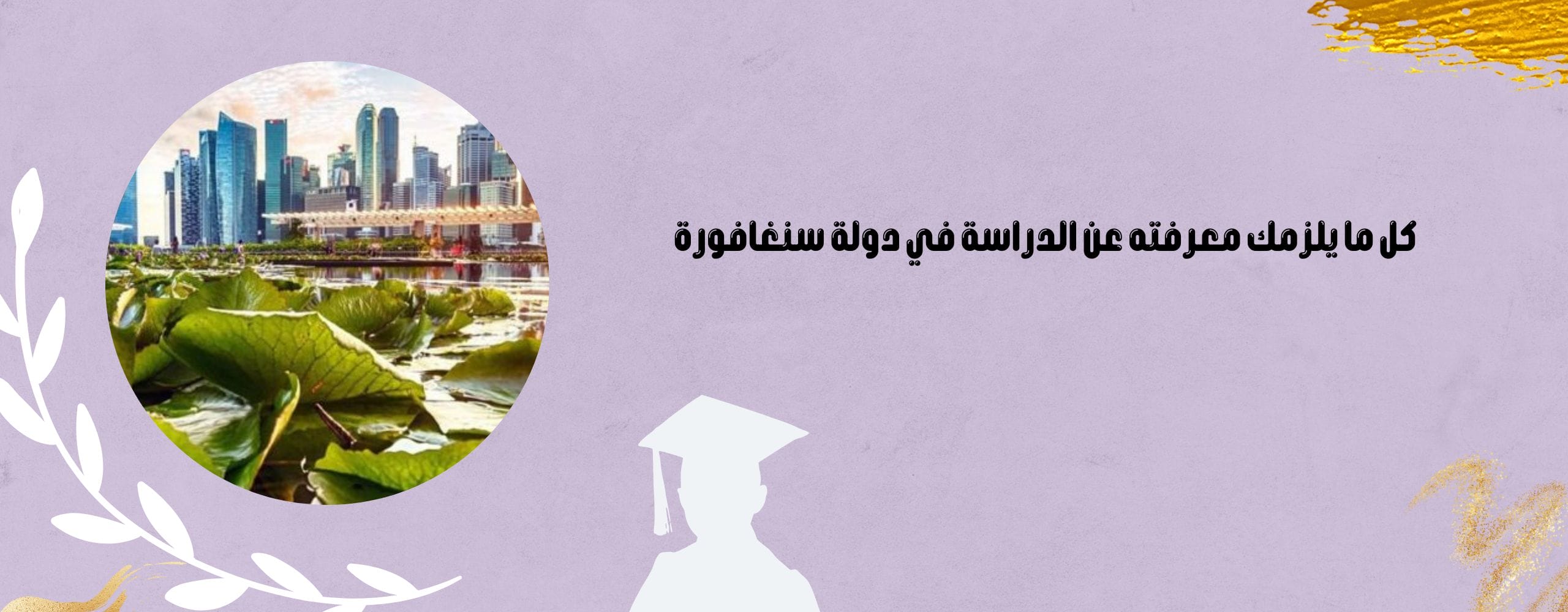 دراسة في سنغافورة