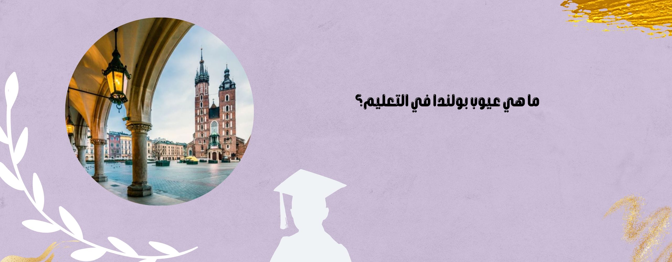 ما هي عيوب بولندا في التعليم؟