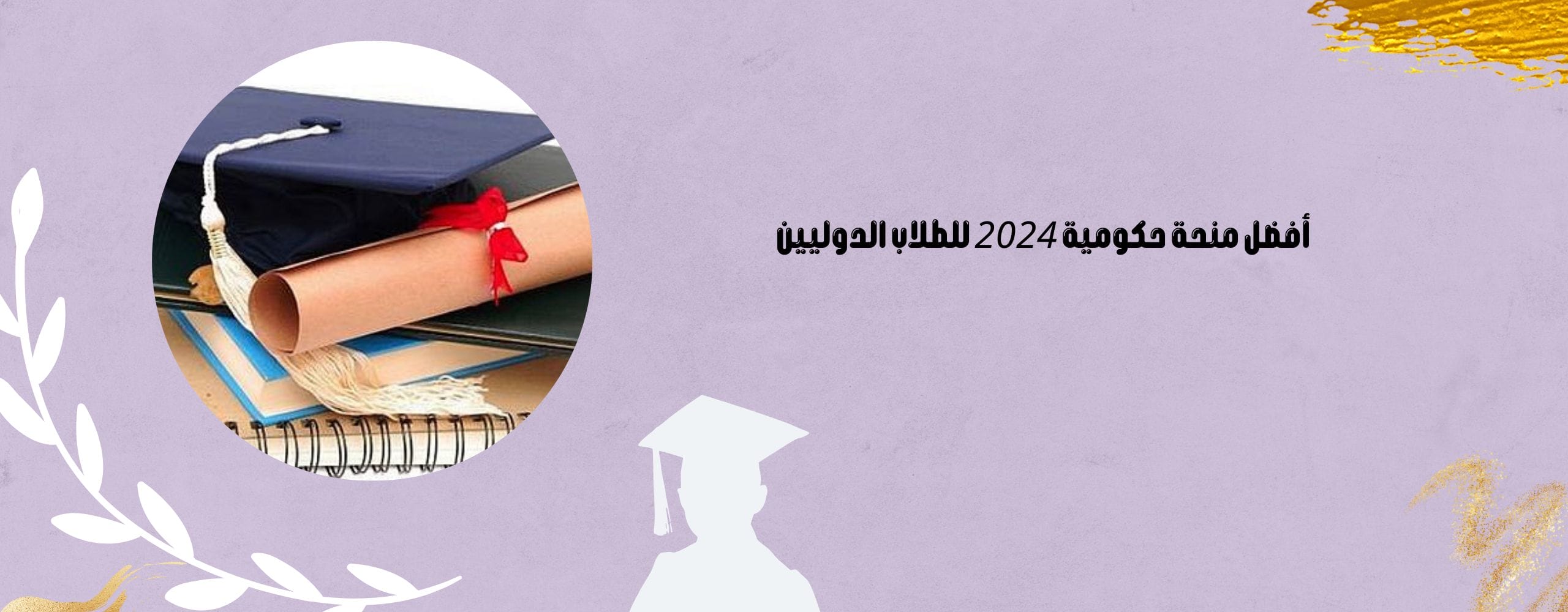 منحة حكومية 2024