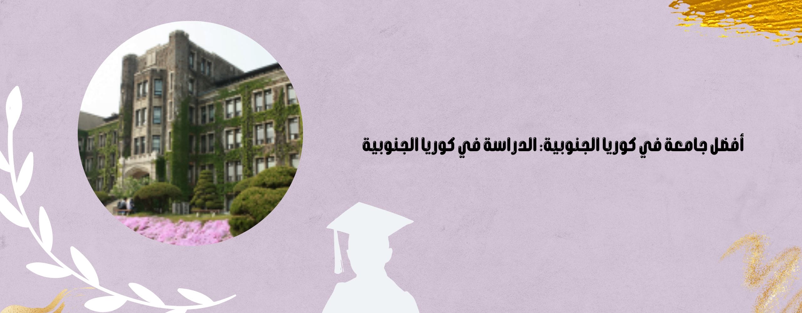 أفضل جامعة في كوريا الجنوبية
